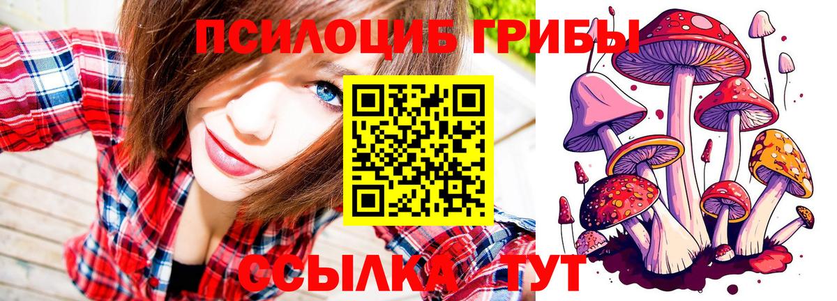 Галлюциногенные грибы ЛСД Назрань
