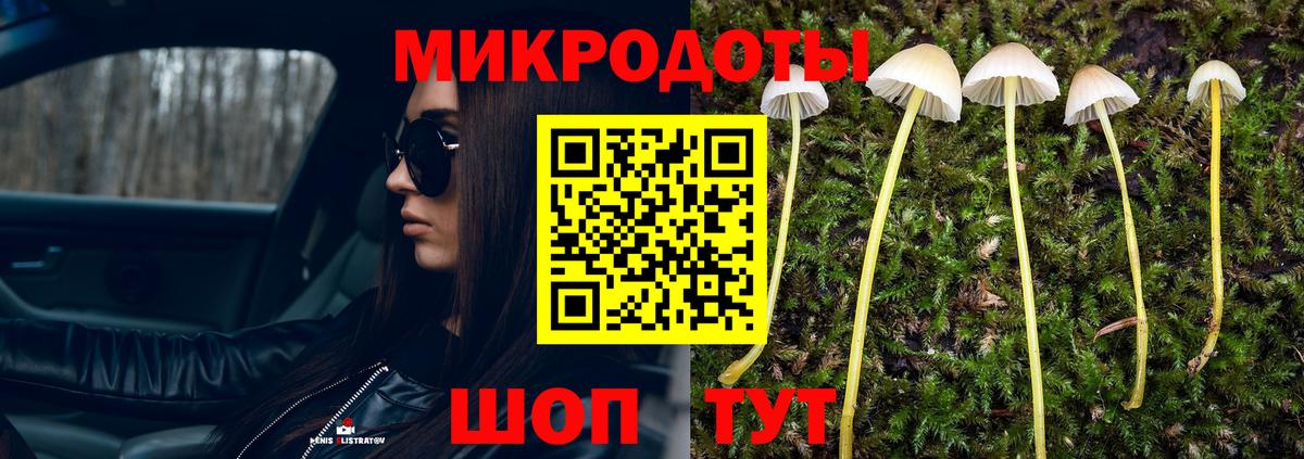 Назрань  Псилоцибиновые грибы Cubensis  Вход с VPN 